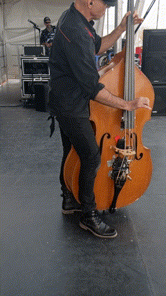 Mighty Flea Circus Video Clip